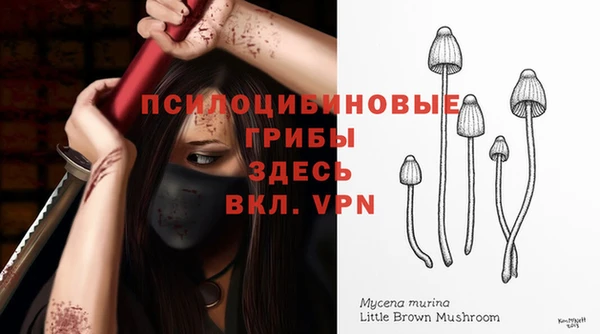 гидропоника Абдулино