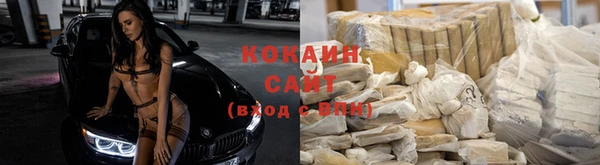 стафф Алексин