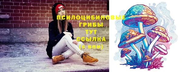 стафф Алексин