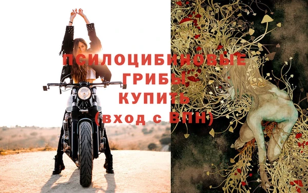 гидропоника Абдулино