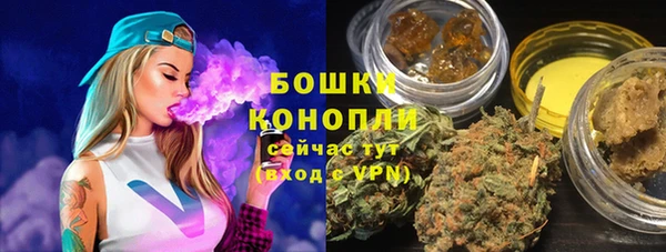 шишки Абинск