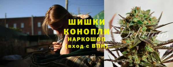 шишки Абинск