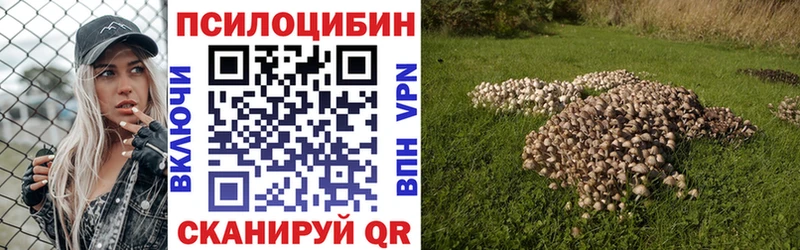 Псилоцибиновые грибы Magic Shrooms  Краснозаводск 