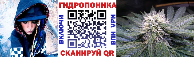 Бошки Шишки сатива  OMG как войти  Краснозаводск 